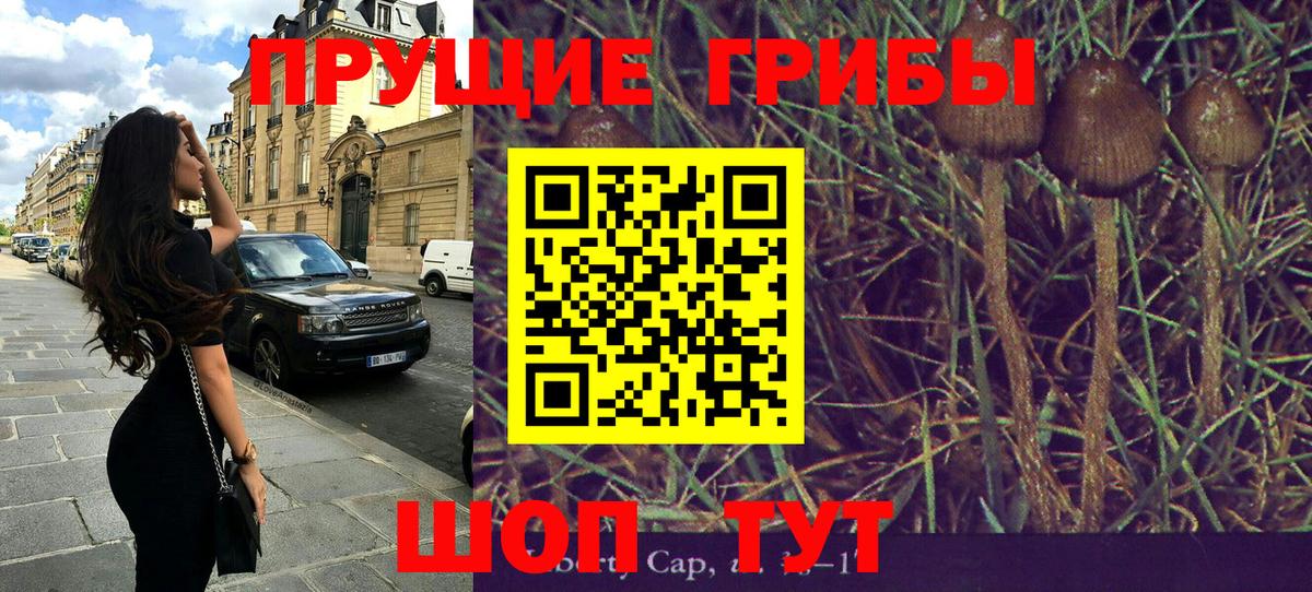 Галлюциногенные грибы GOLDEN TEACHER Донской